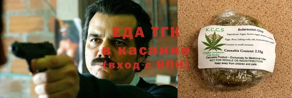 дурь Бородино