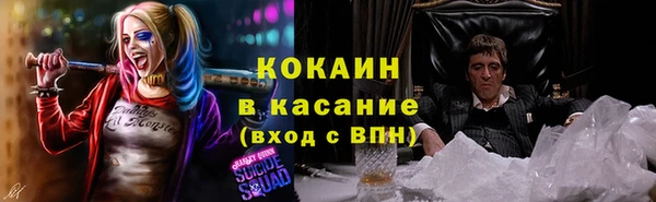 дурь Бородино
