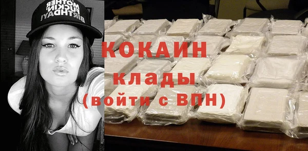 дурь Бородино