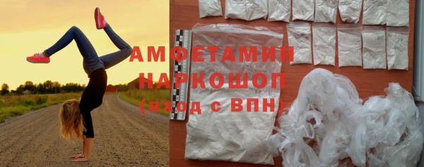 дурь Бородино