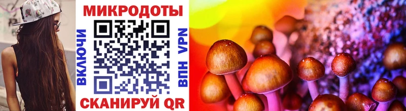 закладка  Конаково  Галлюциногенные грибы прущие грибы 